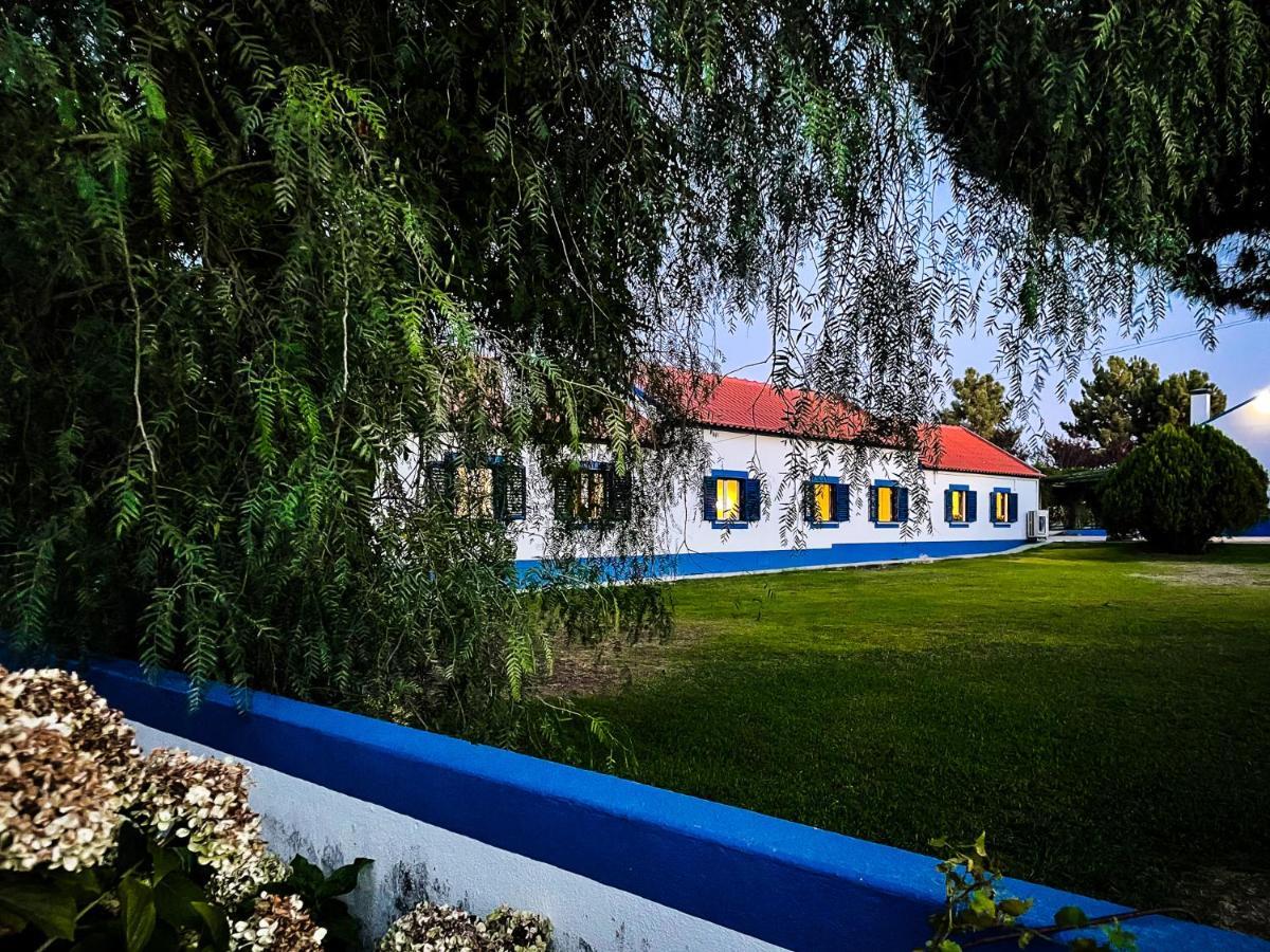 Quinta Do Cutato - Beatriz Guest House - Sotao Santo Estevao  Bagian luar foto