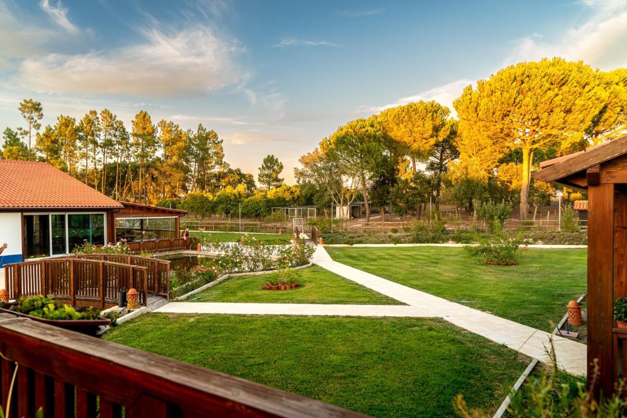 Quinta Do Cutato - Beatriz Guest House - Sotao Santo Estevao  Bagian luar foto
